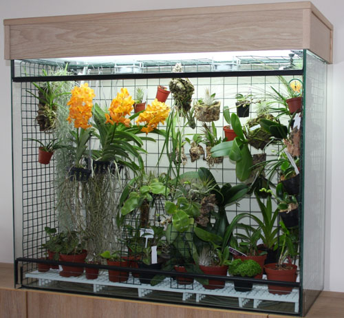 20080423 orchidarium lt3