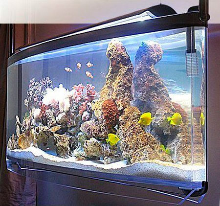 Как выбрать аквариум